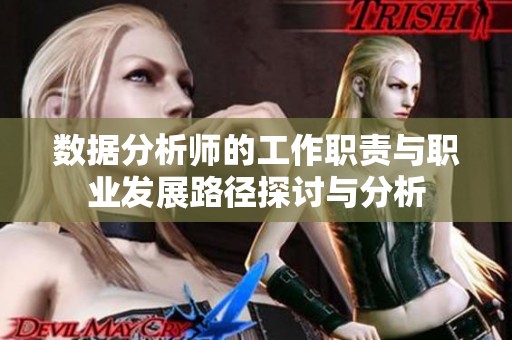数据分析师的工作职责与职业发展路径探讨与分析