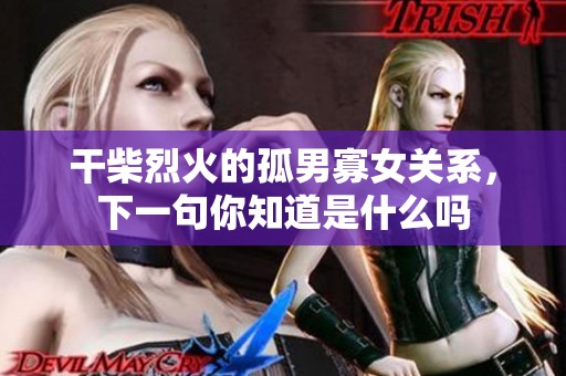 干柴烈火的孤男寡女关系，下一句你知道是什么吗