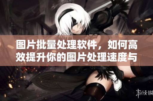 图片批量处理软件，如何高效提升你的图片处理速度与质量