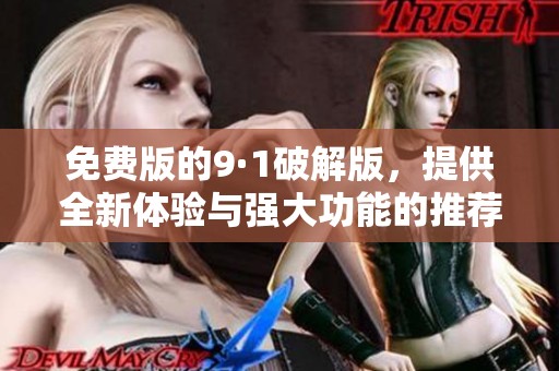免费版的9·1破解版，提供全新体验与强大功能的推荐！
