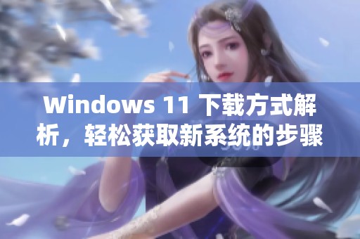 Windows 11 下载方式解析，轻松获取新系统的步骤与技巧