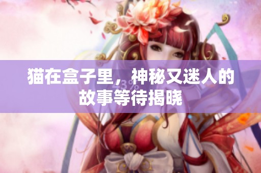 猫在盒子里，神秘又迷人的故事等待揭晓