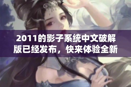 2011的影子系统中文破解版已经发布，快来体验全新功能吧