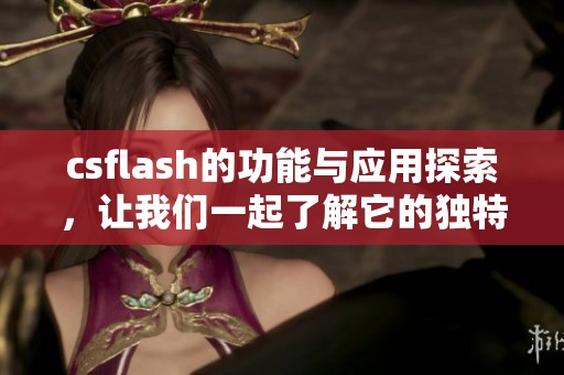 csflash的功能与应用探索，让我们一起了解它的独特魅力与优势所在