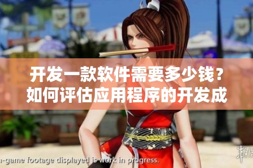 开发一款软件需要多少钱？如何评估应用程序的开发成本？