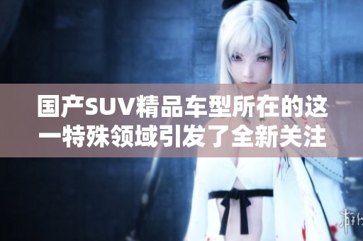 国产SUV精品车型所在的这一特殊领域引发了全新关注