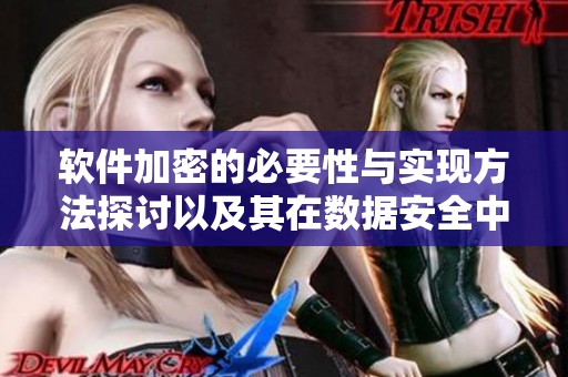软件加密的必要性与实现方法探讨以及其在数据安全中的重要作用
