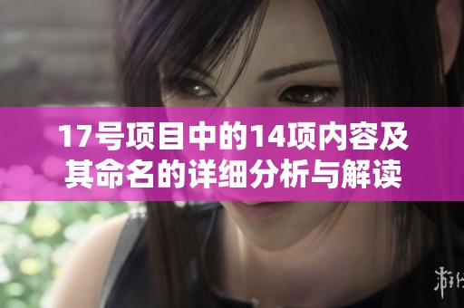 17号项目中的14项内容及其命名的详细分析与解读