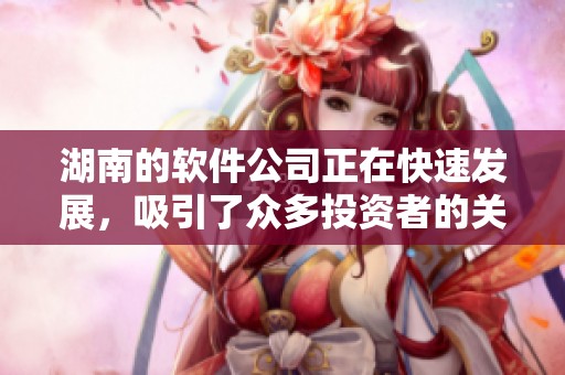 湖南的软件公司正在快速发展，吸引了众多投资者的关注与支持。