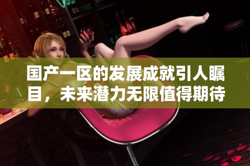 国产一区的发展成就引人瞩目，未来潜力无限值得期待