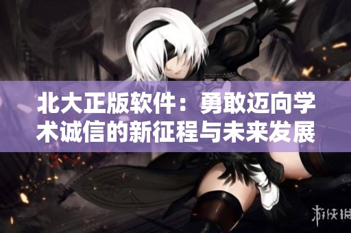 北大正版软件：勇敢迈向学术诚信的新征程与未来发展