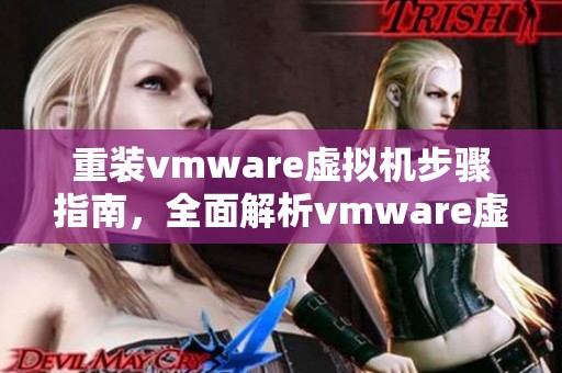重装vmware虚拟机步骤指南，全面解析vmware虚拟机的使用技巧与注意事项