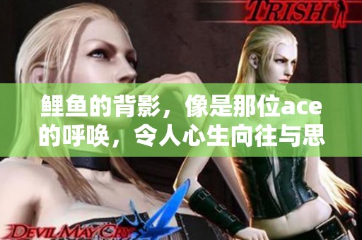 鲤鱼的背影，像是那位ace的呼唤，令人心生向往与思索