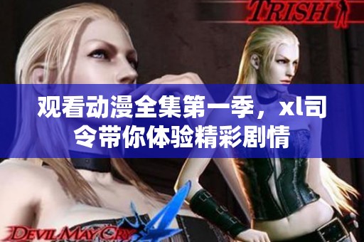 观看动漫全集第一季，xl司令带你体验精彩剧情