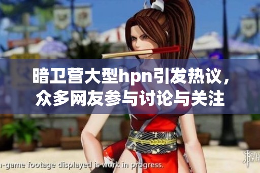 暗卫营大型hpn引发热议，众多网友参与讨论与关注