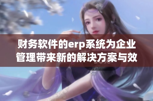 财务软件的erp系统为企业管理带来新的解决方案与效率提升