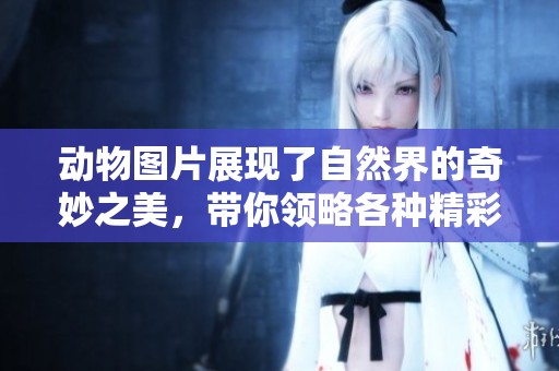 动物图片展现了自然界的奇妙之美，带你领略各种精彩的生物世界