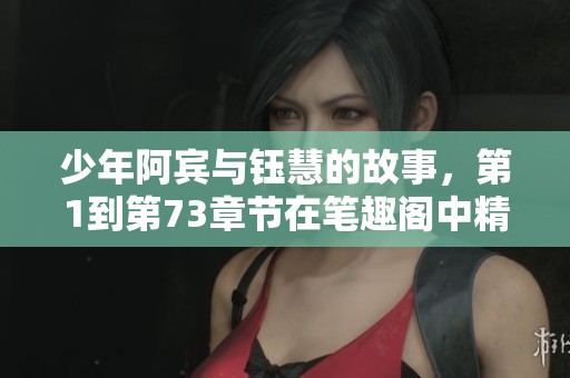 少年阿宾与钰慧的故事，第1到第73章节在笔趣阁中精彩呈现