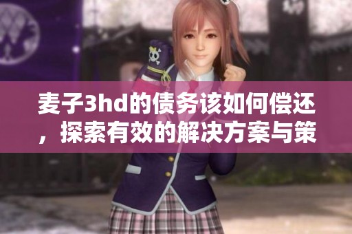 麦子3hd的债务该如何偿还，探索有效的解决方案与策略