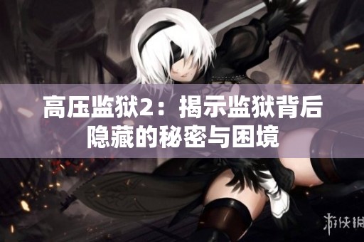 高压监狱2：揭示监狱背后隐藏的秘密与困境