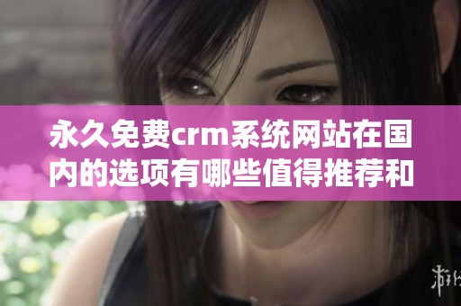 永久免费crm系统网站在国内的选项有哪些值得推荐和使用呢
