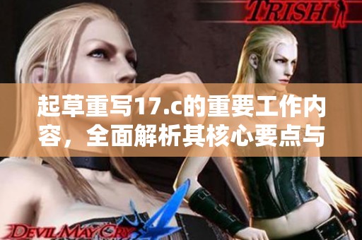 起草重写17.c的重要工作内容，全面解析其核心要点与实施方案