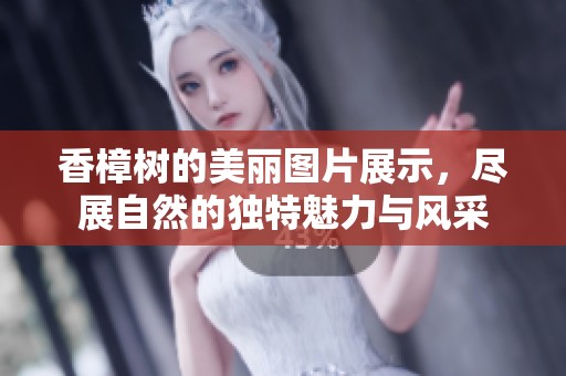 香樟树的美丽图片展示，尽展自然的独特魅力与风采
