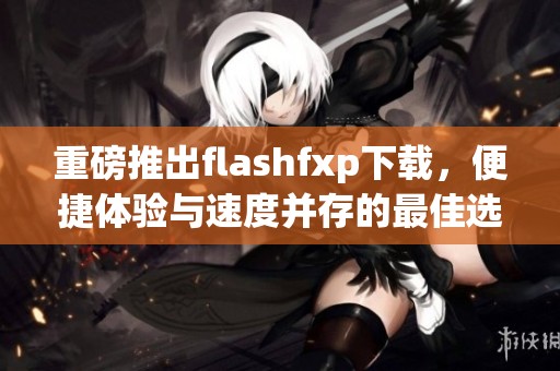 重磅推出flashfxp下载，便捷体验与速度并存的最佳选择