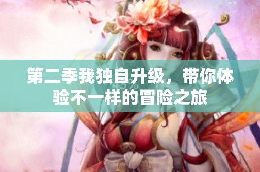 第二季我独自升级，带你体验不一样的冒险之旅