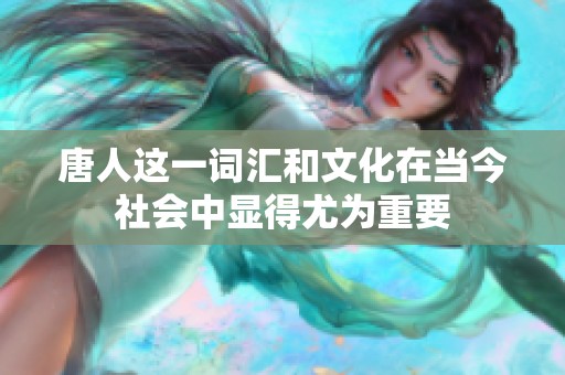 唐人这一词汇和文化在当今社会中显得尤为重要