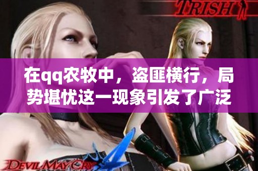 在qq农牧中，盗匪横行，局势堪忧这一现象引发了广泛关注与讨论