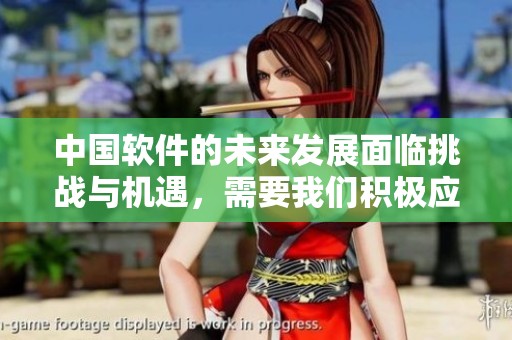 中国软件的未来发展面临挑战与机遇，需要我们积极应对策略