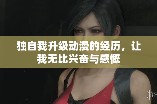 独自我升级动漫的经历，让我无比兴奋与感慨