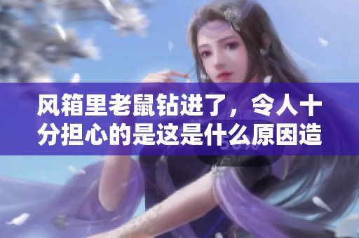 风箱里老鼠钻进了，令人十分担心的是这是什么原因造成的呢