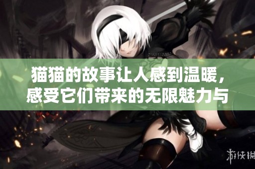 猫猫的故事让人感到温暖，感受它们带来的无限魅力与快乐
