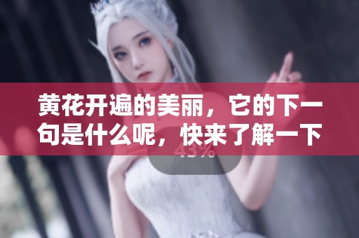 黄花开遍的美丽，它的下一句是什么呢，快来了解一下吧