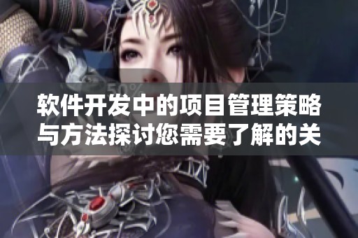 软件开发中的项目管理策略与方法探讨您需要了解的关键要素