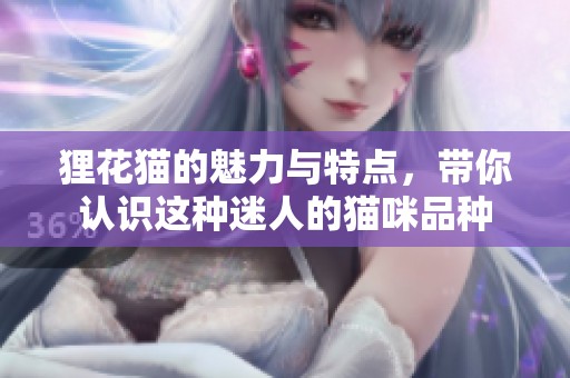 狸花猫的魅力与特点，带你认识这种迷人的猫咪品种