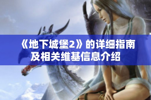 《地下城堡2》的详细指南及相关维基信息介绍