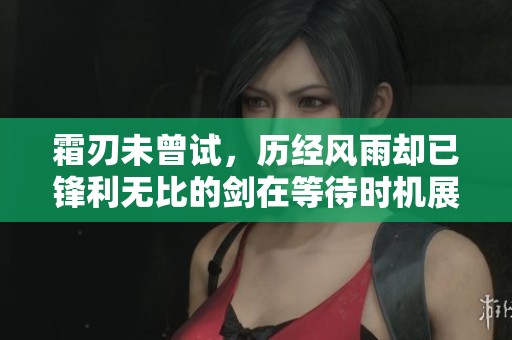 霜刃未曾试，历经风雨却已锋利无比的剑在等待时机展现锋芒