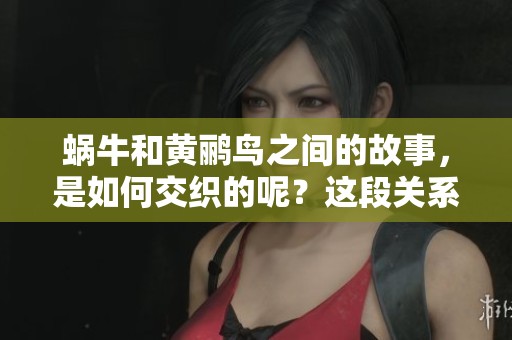 蜗牛和黄鹂鸟之间的故事，是如何交织的呢？这段关系又有何深意？