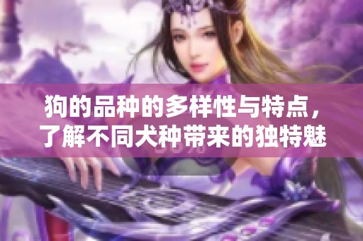 狗的品种的多样性与特点，了解不同犬种带来的独特魅力