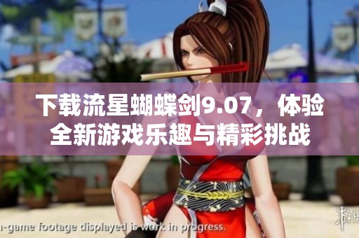 下载流星蝴蝶剑9.07，体验全新游戏乐趣与精彩挑战
