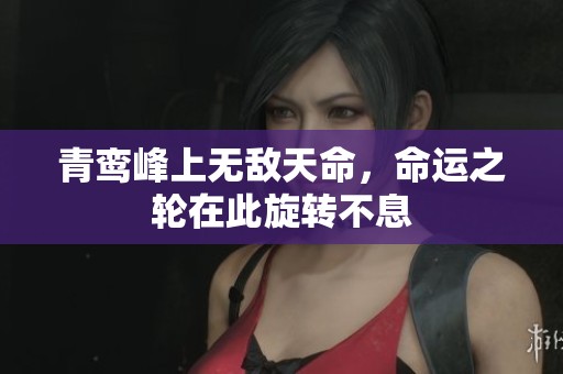青鸾峰上无敌天命，命运之轮在此旋转不息
