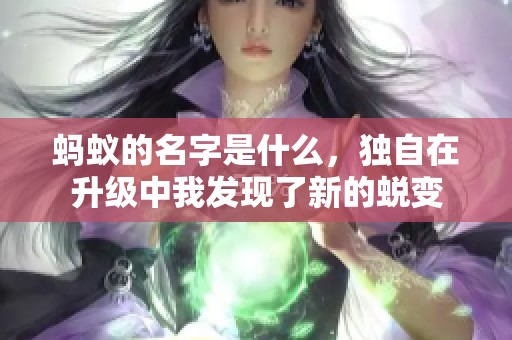 蚂蚁的名字是什么，独自在升级中我发现了新的蜕变