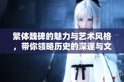 繁体魏碑的魅力与艺术风格，带你领略历史的深邃与文化的厚重