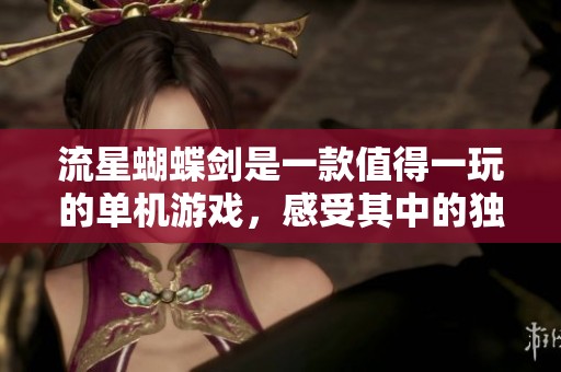 流星蝴蝶剑是一款值得一玩的单机游戏，感受其中的独特魅力与乐趣
